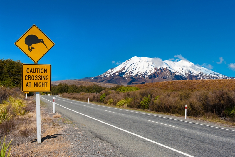 Mount Tongariro stands at 1,978 m.
